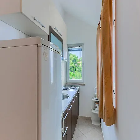 Apartment Ivo
